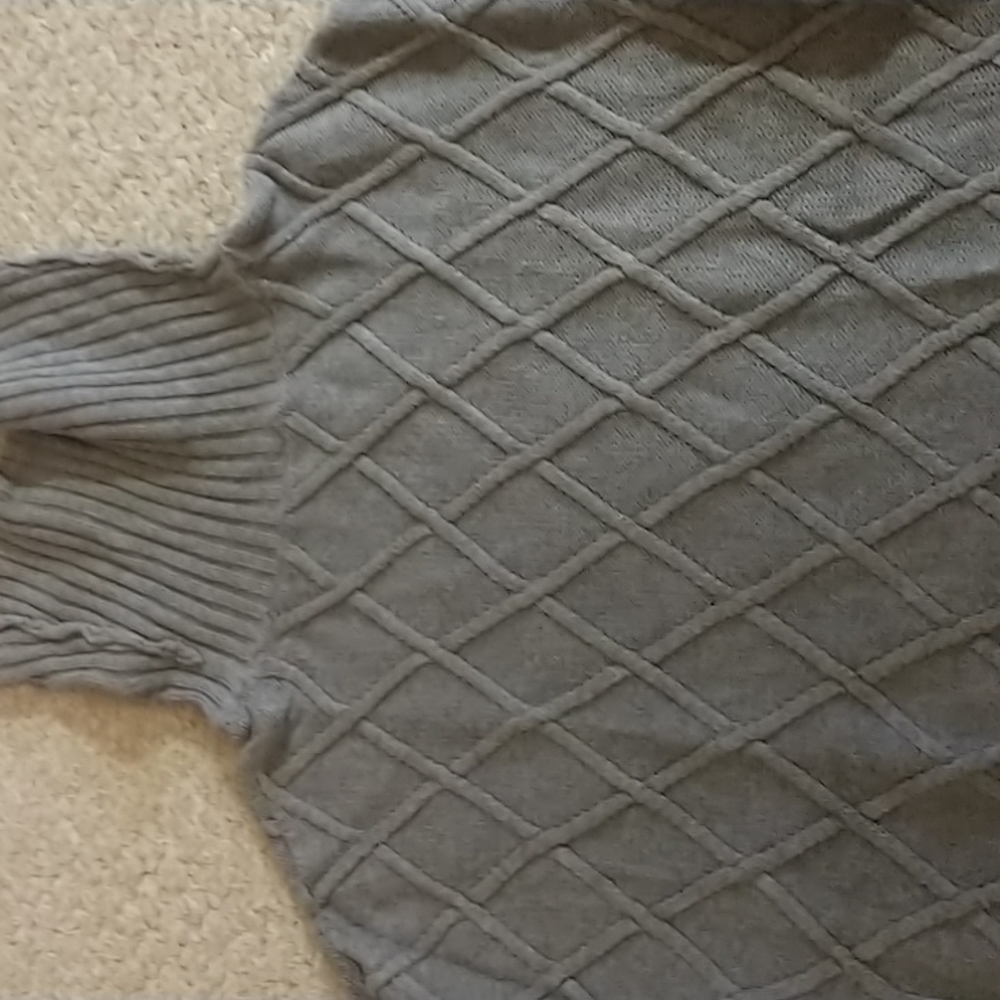 Turtle neck sweater from CJ Banks